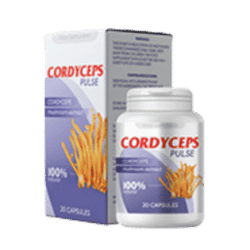 Cordyceps Pulse