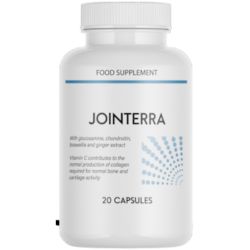 Jointerra